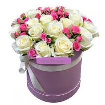 Hatbox Tender Compliment